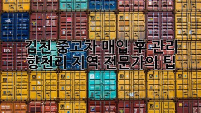 김천 중고차 매입 후 관리: 향천리 지역 전문가의 팁
